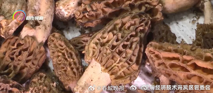 昆明经济技术开发区管委会