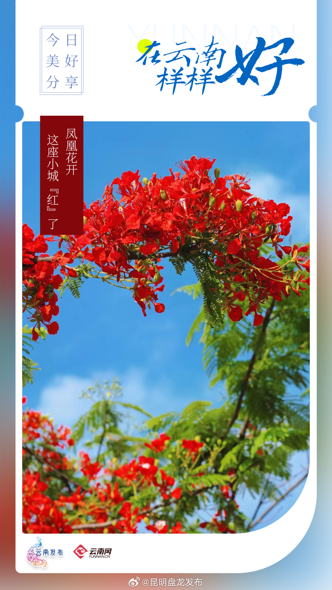 昆明盘龙发布