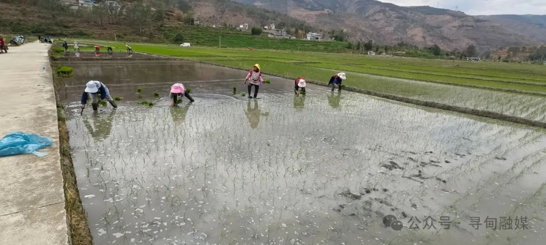 昆明寻甸发布