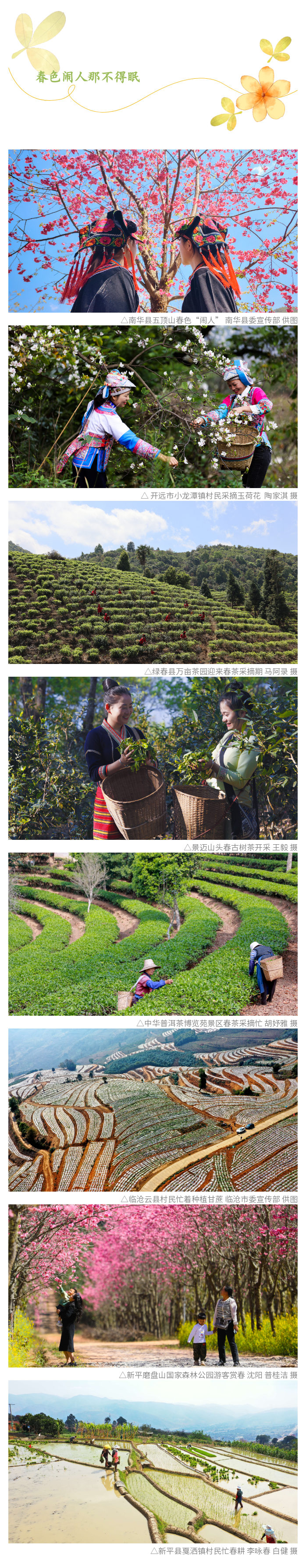 云南省文化和旅游厅