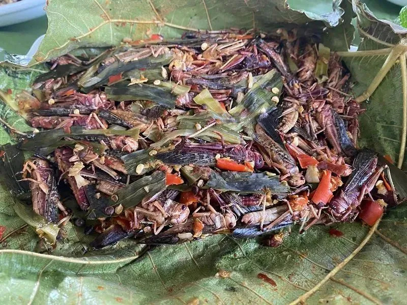 云南省文化和旅游厅