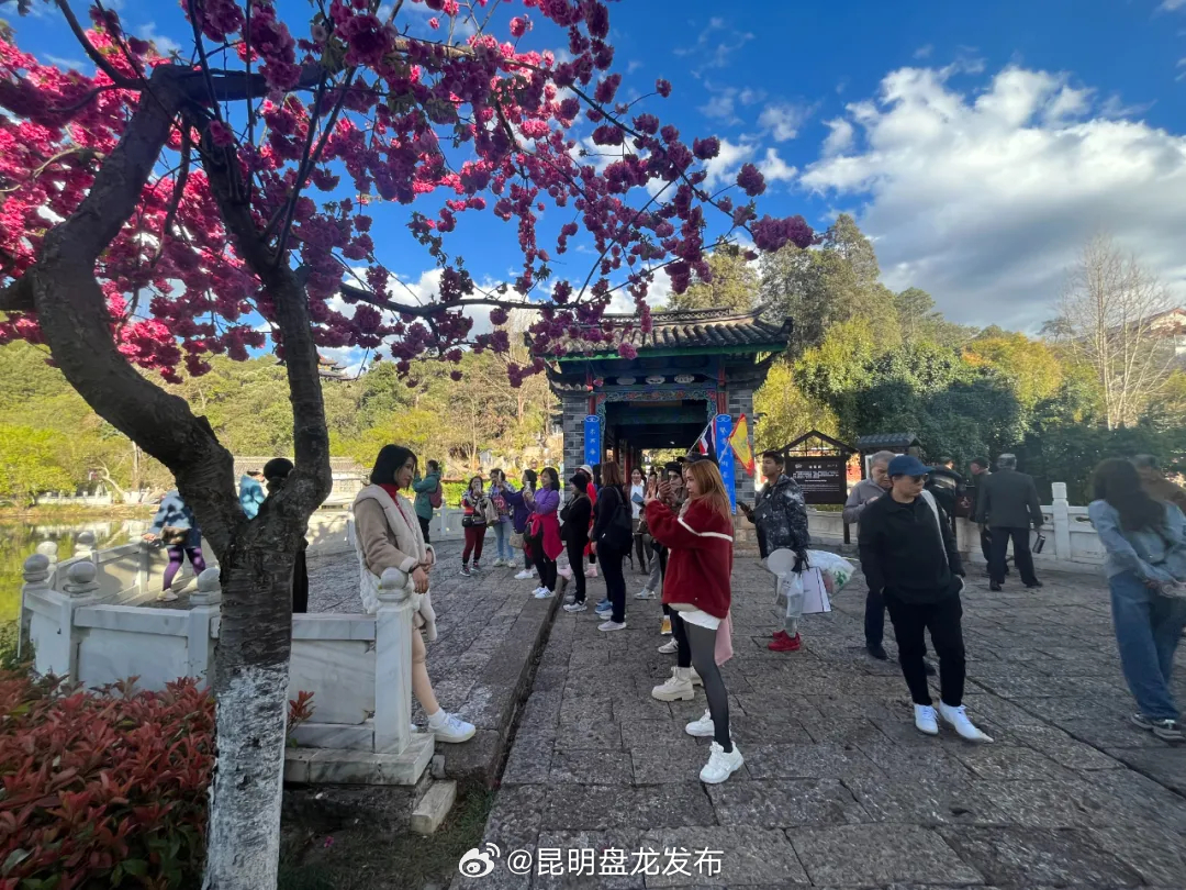 清明假期丽江接待游客93.89万人次