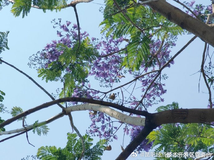 昆明经济技术开发区管委会