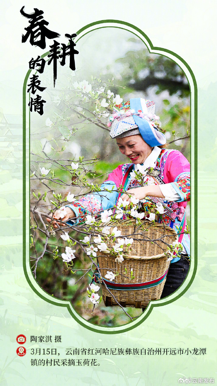 云南发布