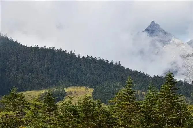 云南省文化和旅游厅