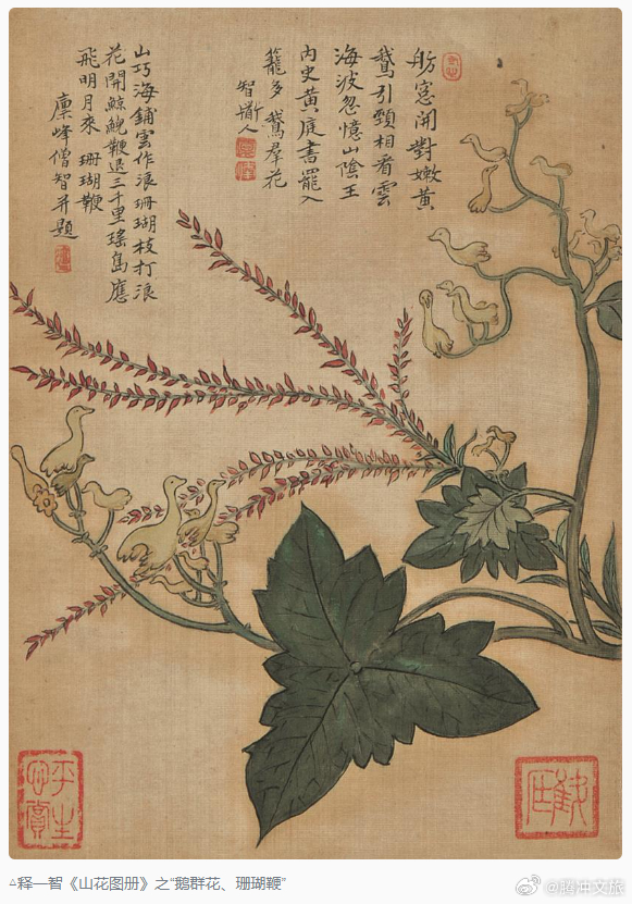 腾冲文旅