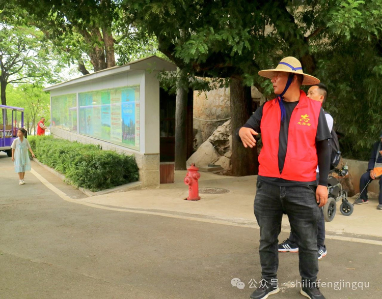 石林旅游网