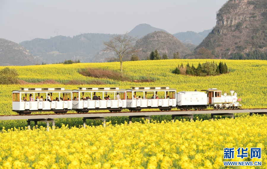 云南省文化和旅游厅