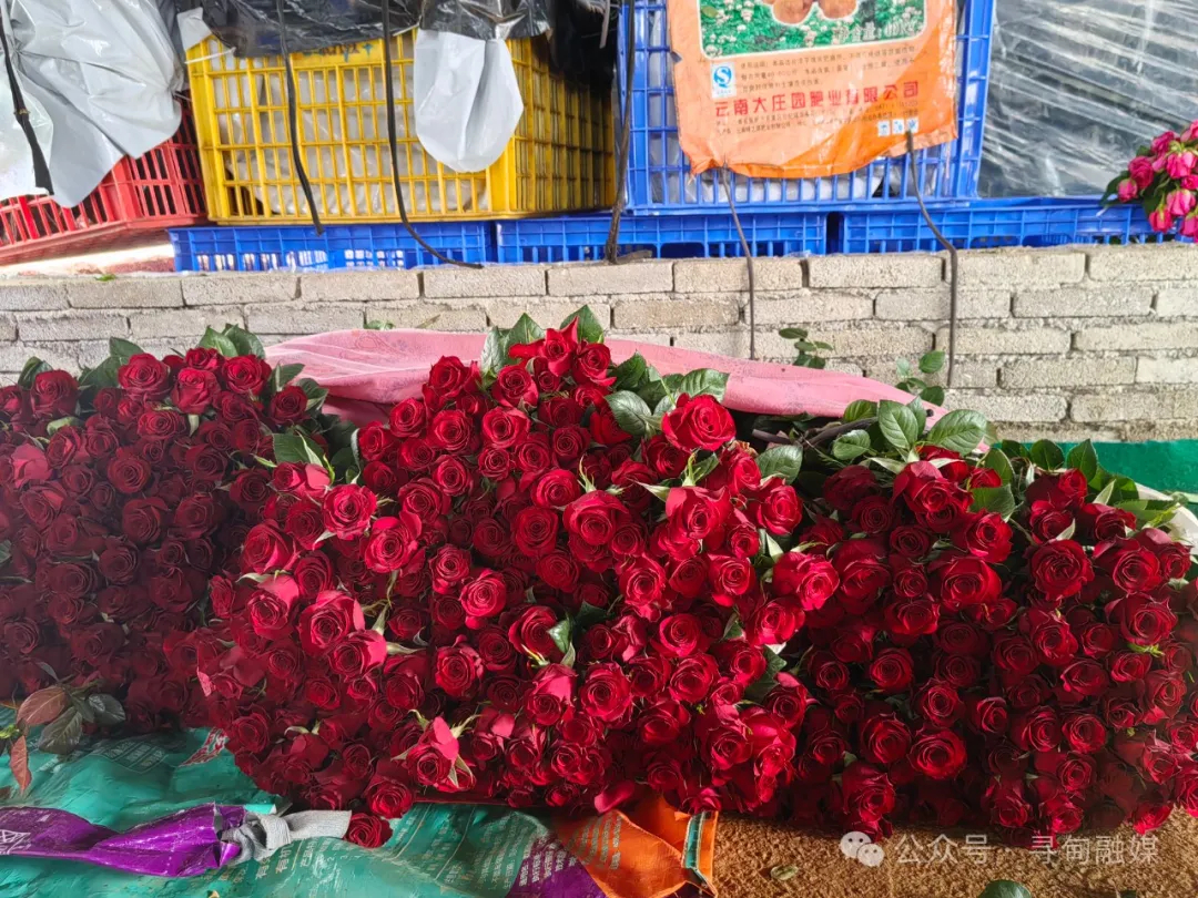 昆明寻甸发布