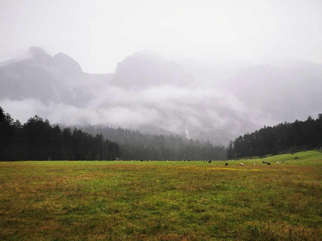 云南省文化和旅游厅