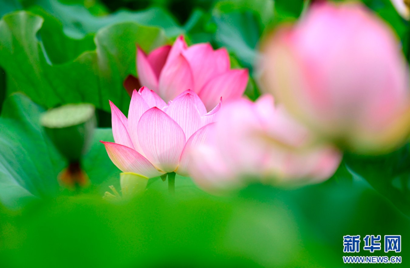 云南省文化和旅游厅