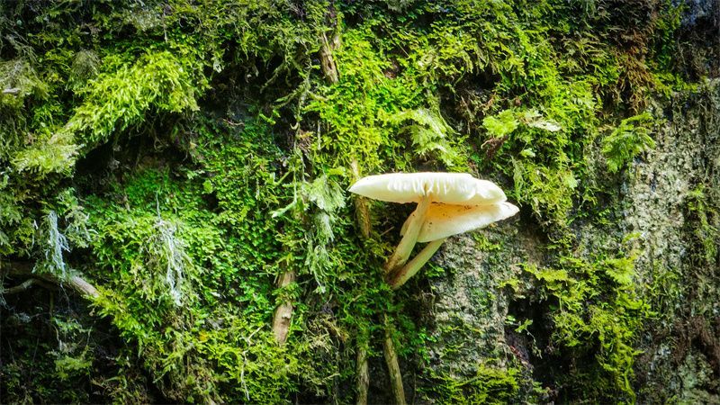 云南省文化和旅游厅