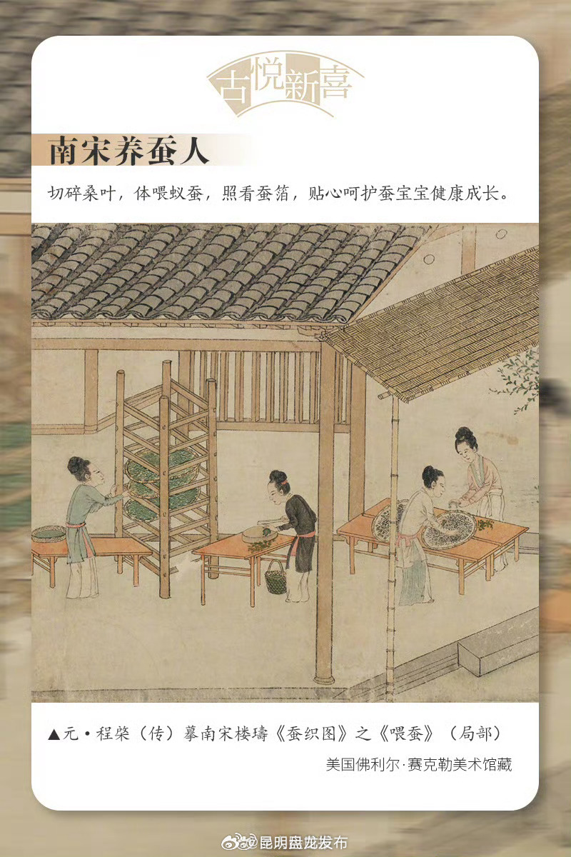 昆明盘龙发布
