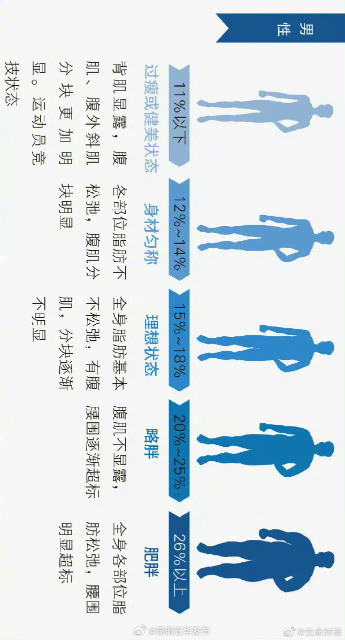体脂率是身体最诚实的胖瘦指标_http://www.mainten.cn_ycb_第4张