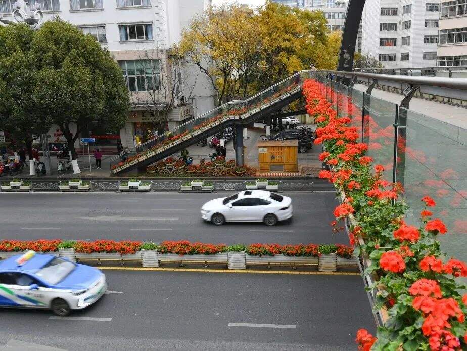 云南省文化和旅游厅