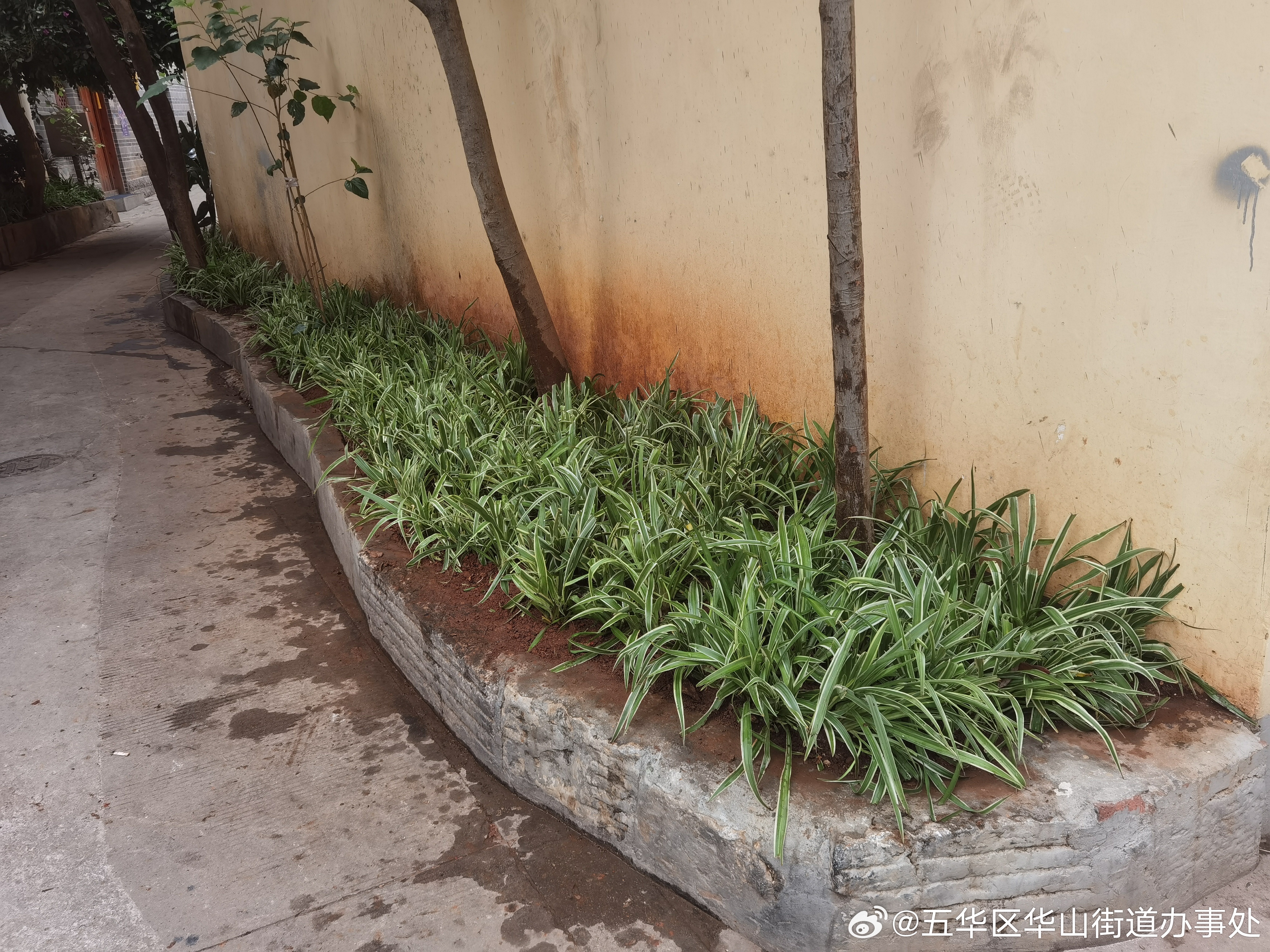 五华区华山街道办事处