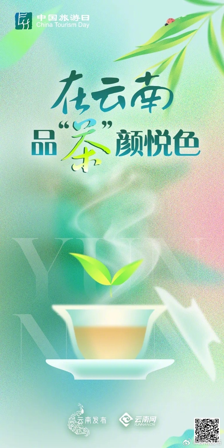 到云南赴一场氤氲茶香之旅
