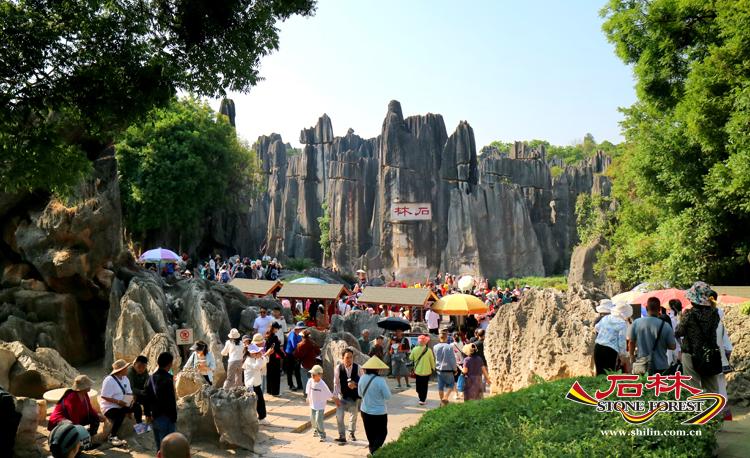 石林旅游网