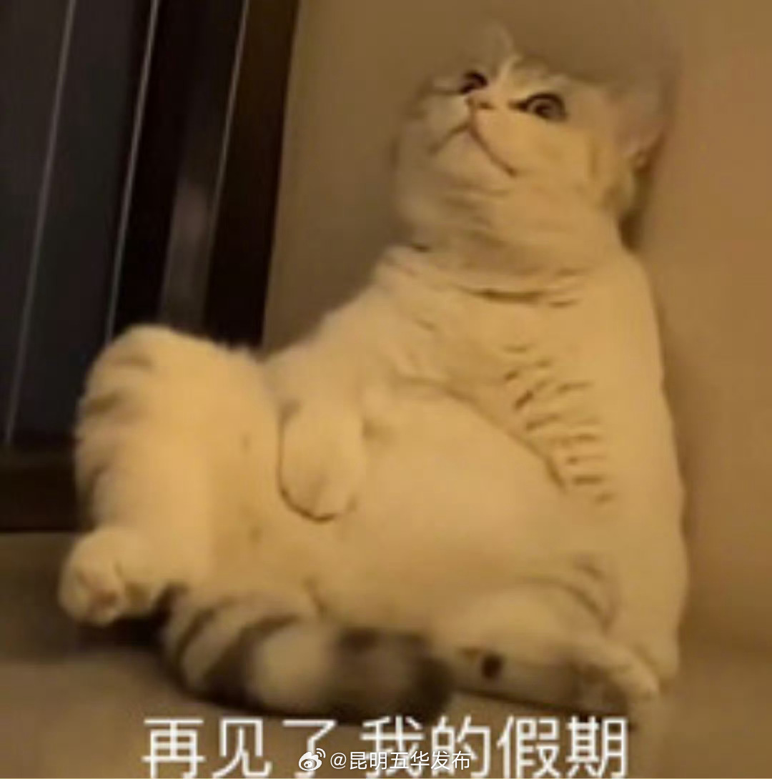 假期过得快其实是有原因的