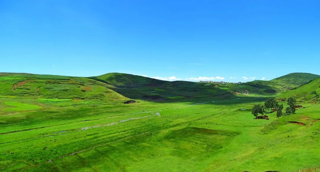 云南省文化和旅游厅