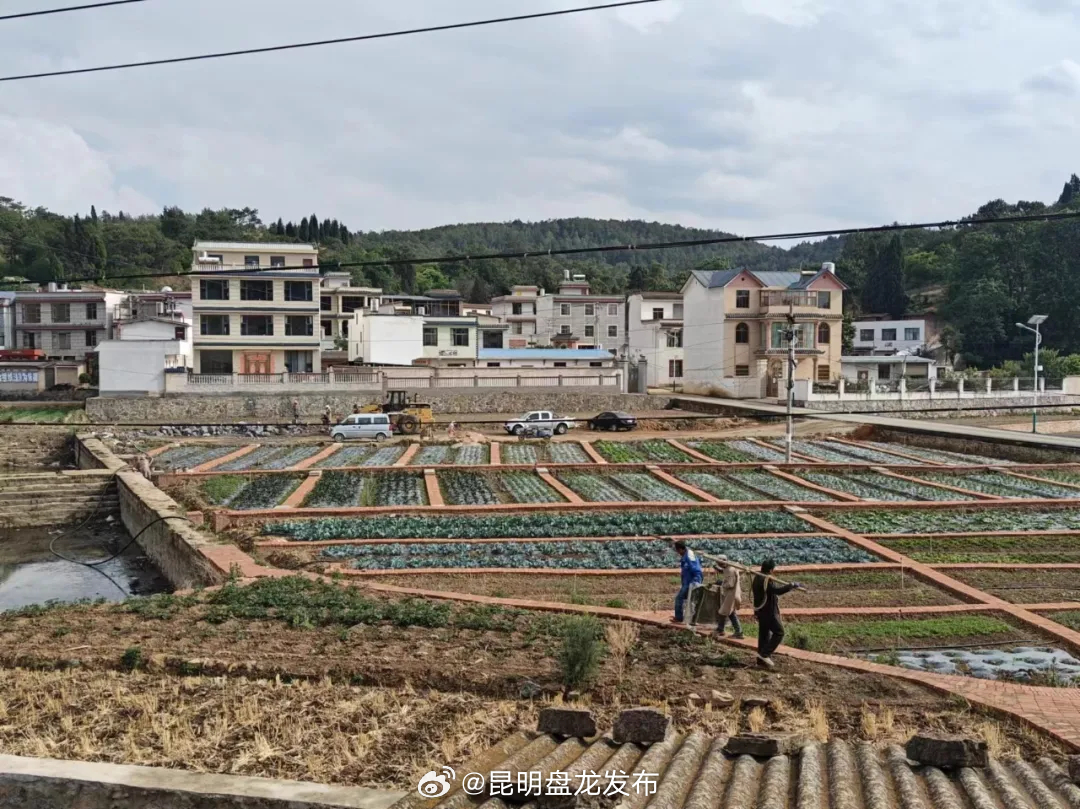 通泉街道“三聚焦” 推动和美乡村建设