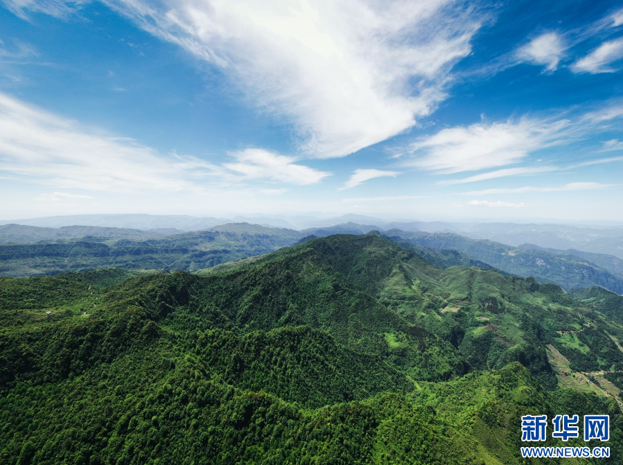 云南省文化和旅游厅