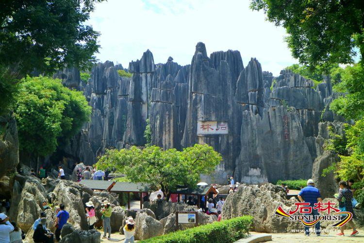 石林旅游网