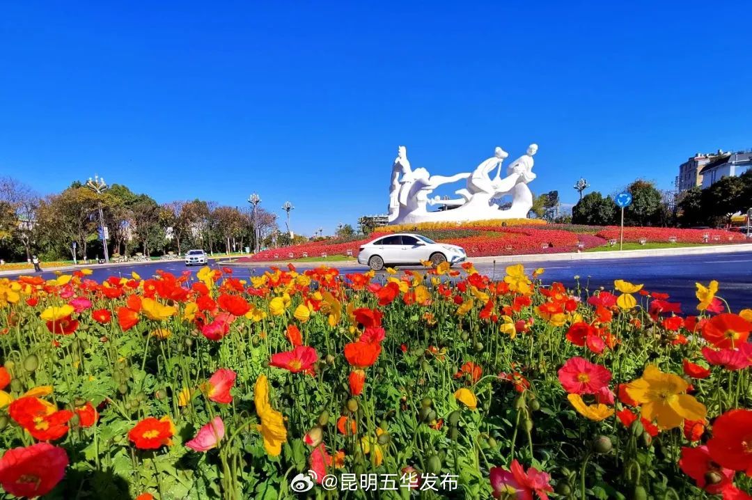昆明五华发布