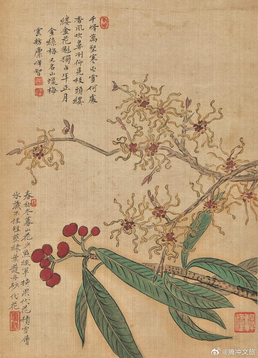 腾冲文旅