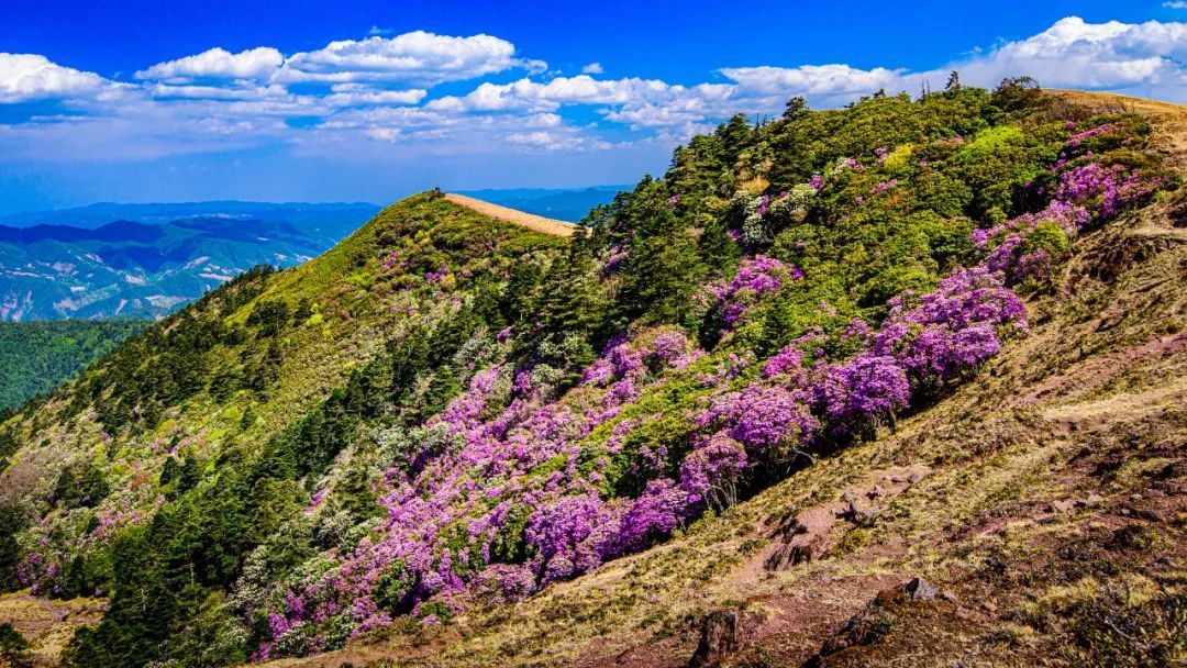 云南省文化和旅游厅
