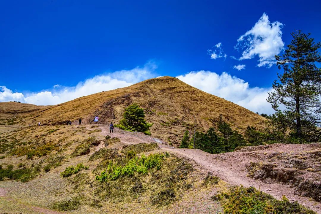 云南省文化和旅游厅