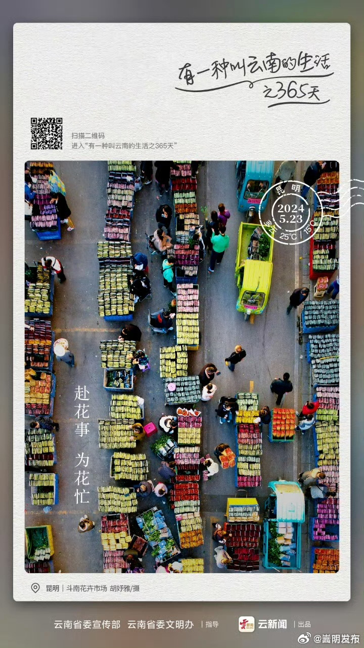 来这里，随便“花”——有一种叫云南的生活之365天