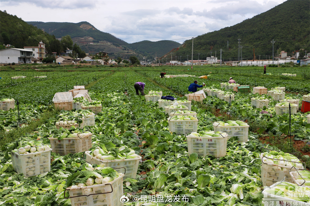 昆明盘龙发布