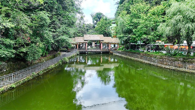 云南省文化和旅游厅