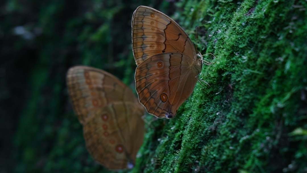 云南省文化和旅游厅