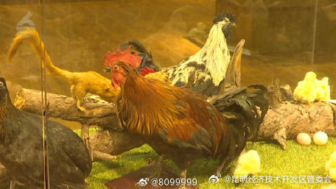 昆明经济技术开发区管委会