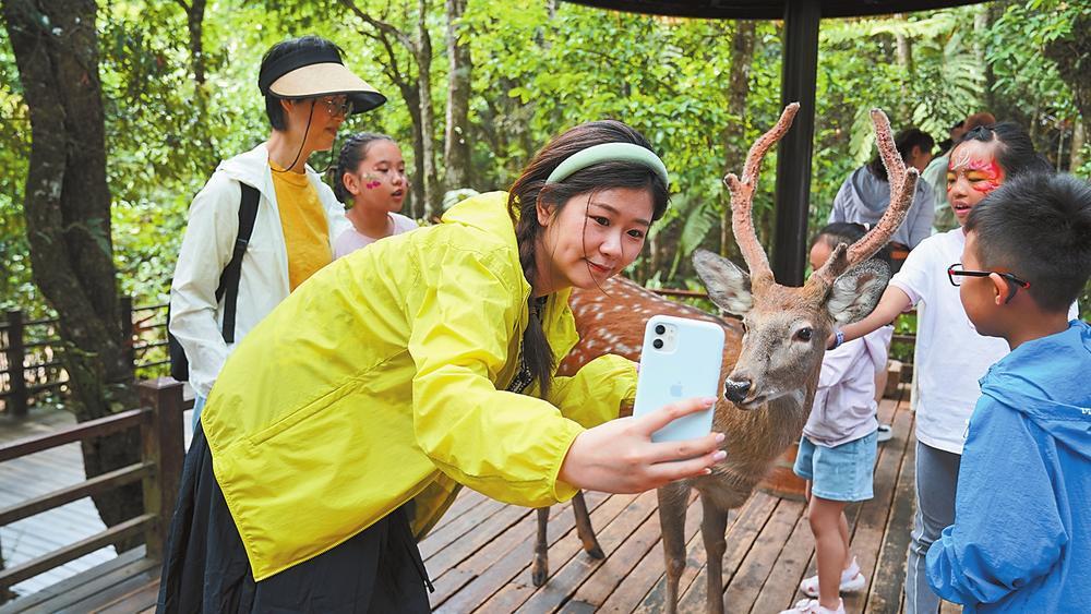 云南省文化和旅游厅