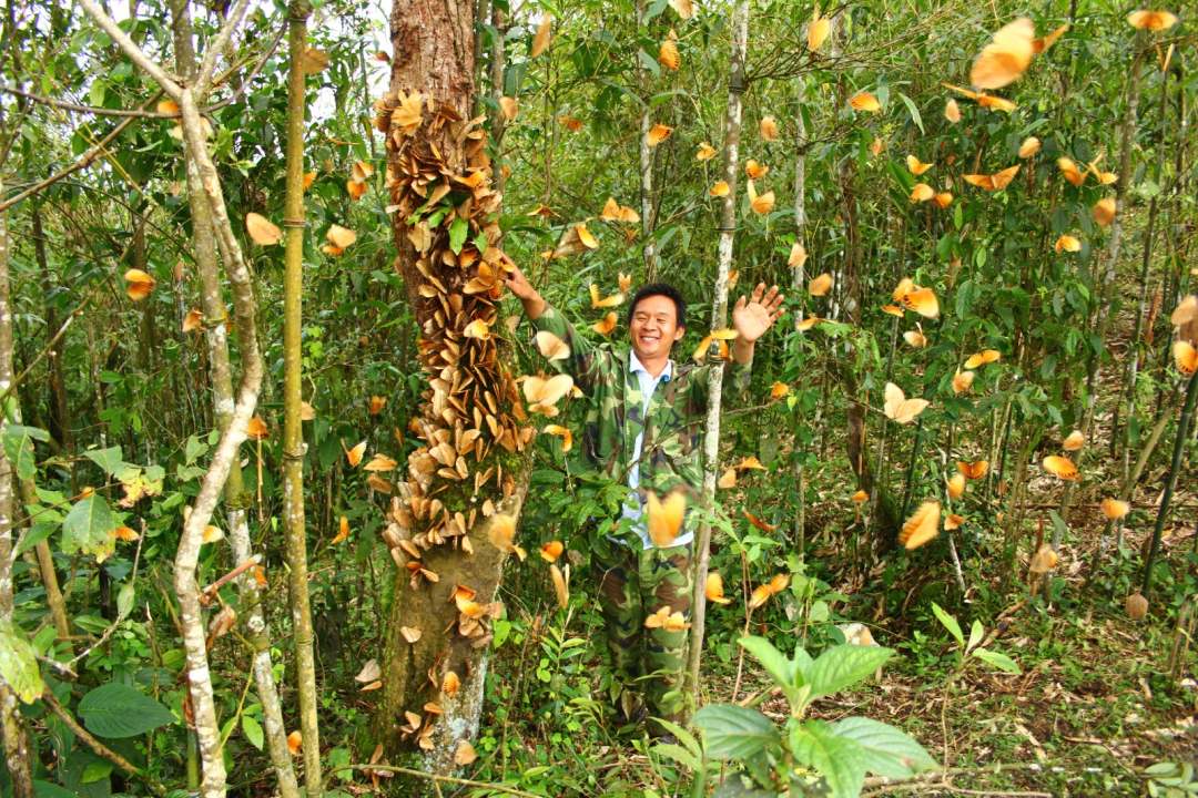 云南省文化和旅游厅