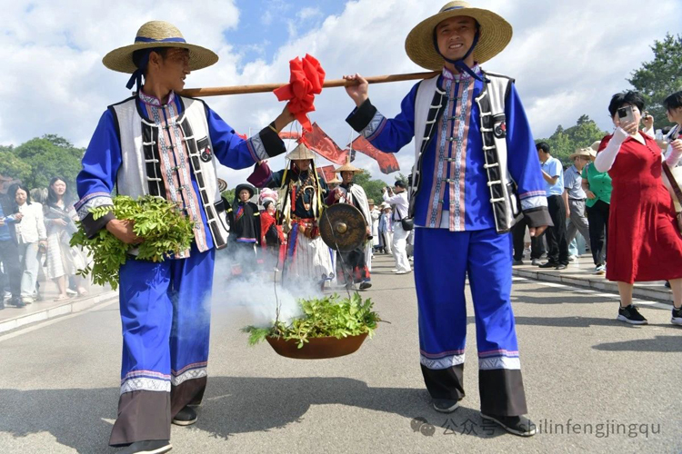 石林旅游网