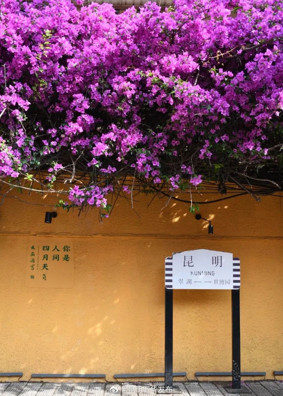 昆明五华发布