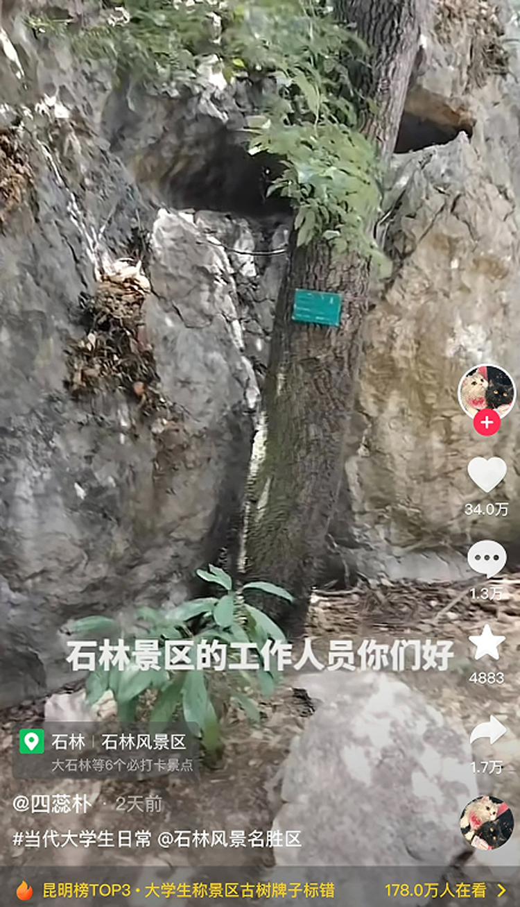 石林旅游网