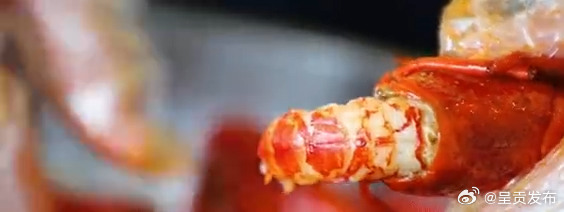 虾膏是小龙虾的生殖腺