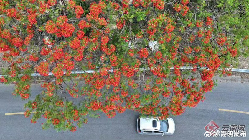 愿意记录生活的人，都在用心经营自己的日子