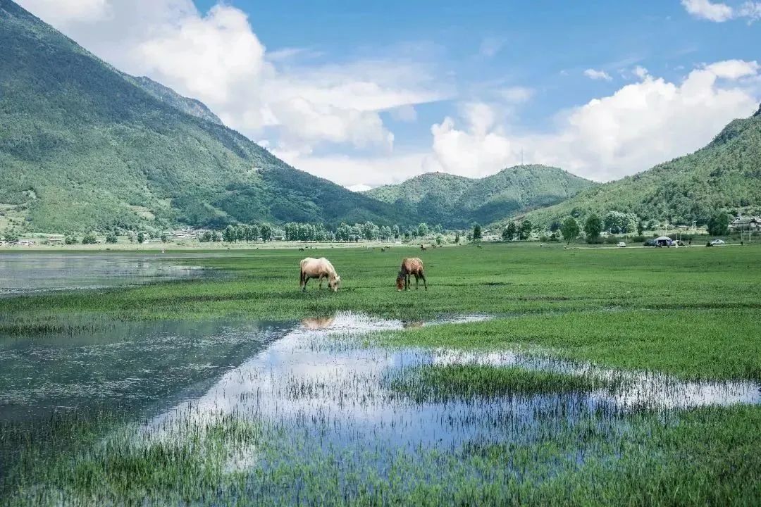 云南省文化和旅游厅
