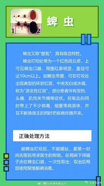 呈贡发布