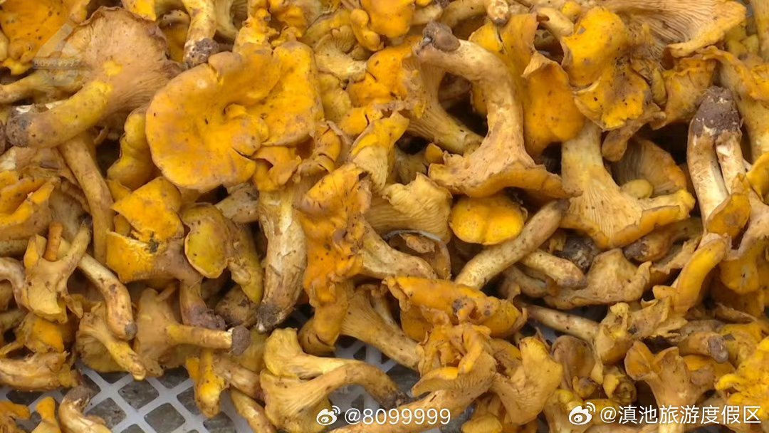 滇池旅游度假区