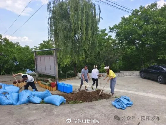保山新闻网