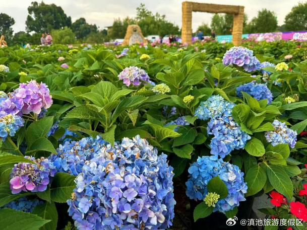 滇池旅游度假区