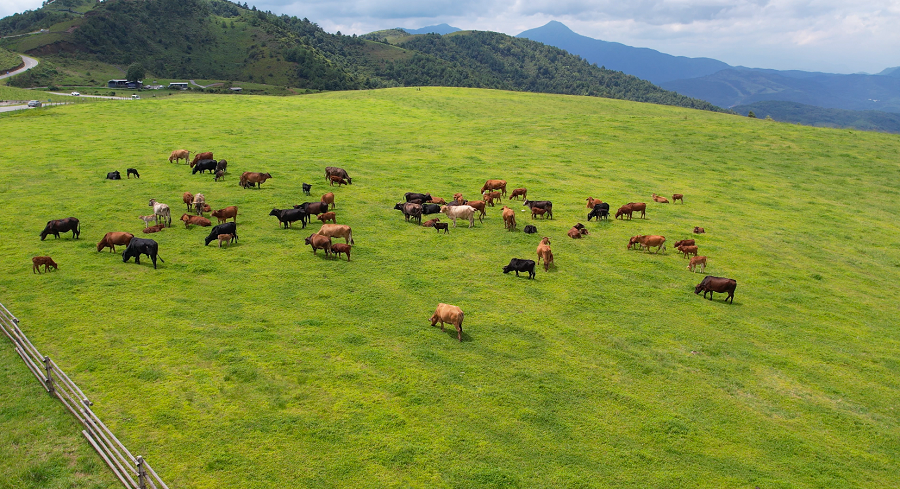 云南省文化和旅游厅