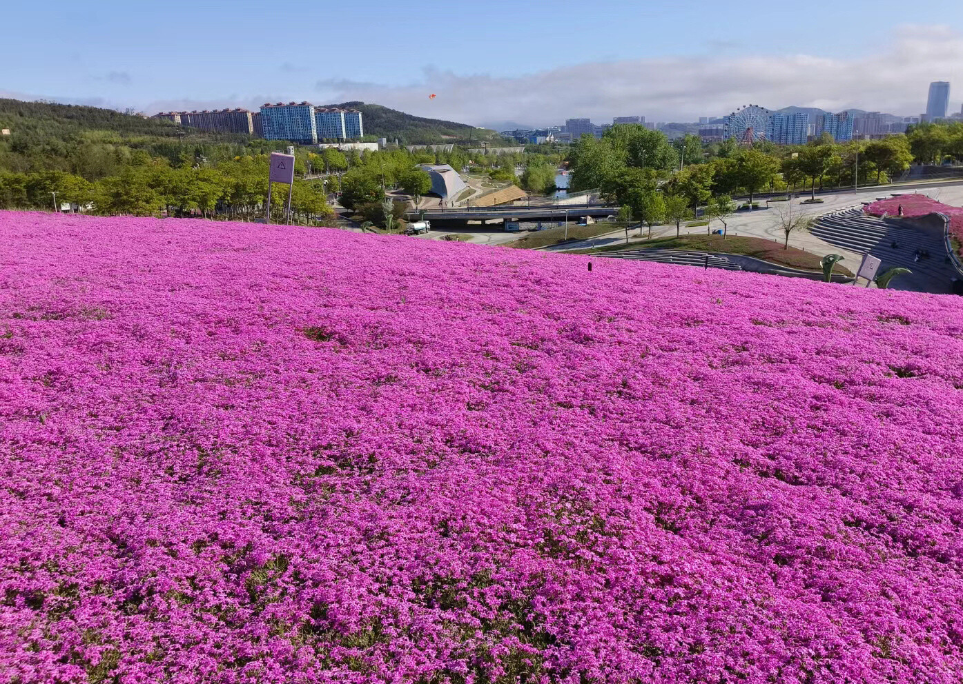 云南省文化和旅游厅